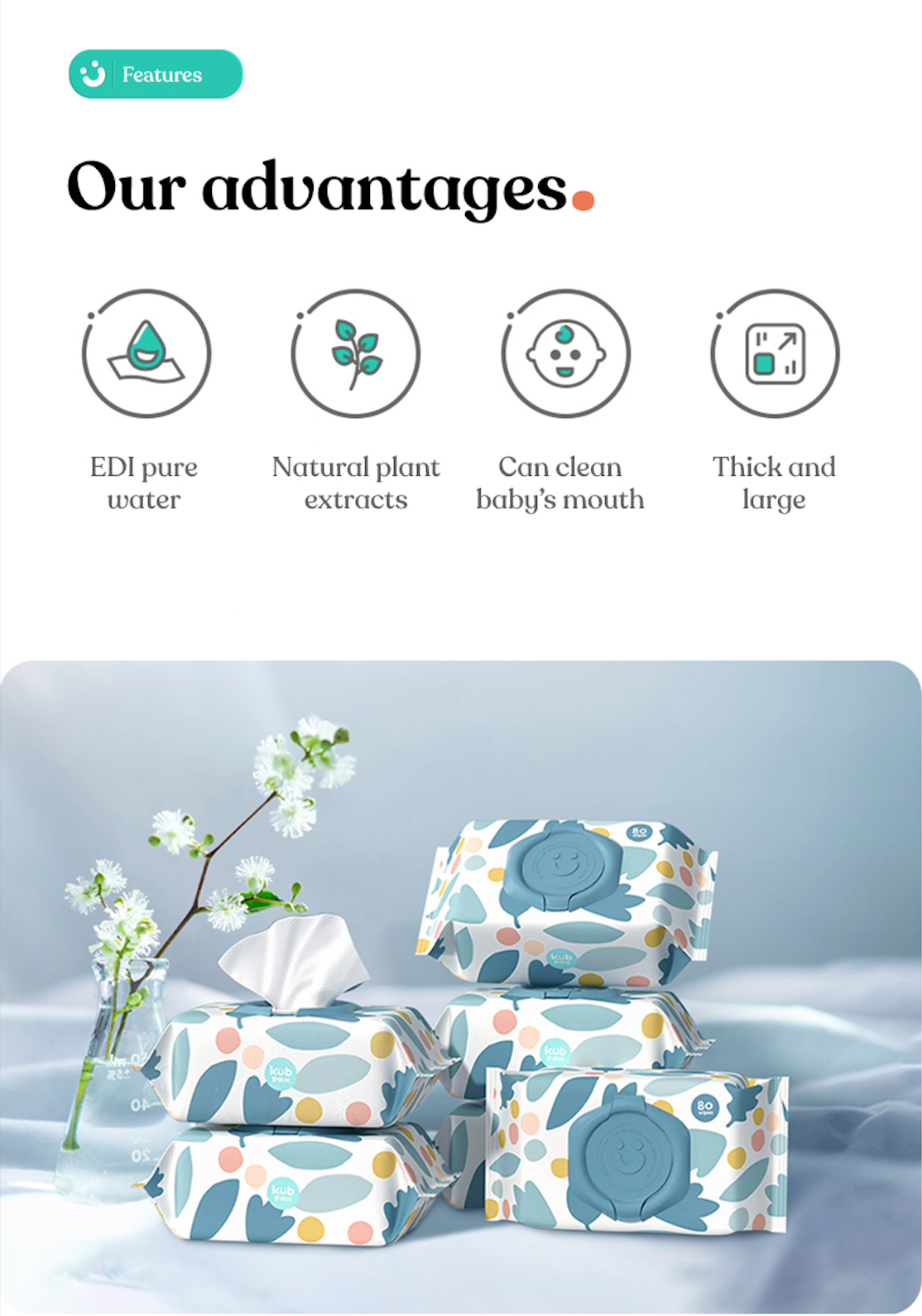 Wet Wipes | 80 Wipes Pack