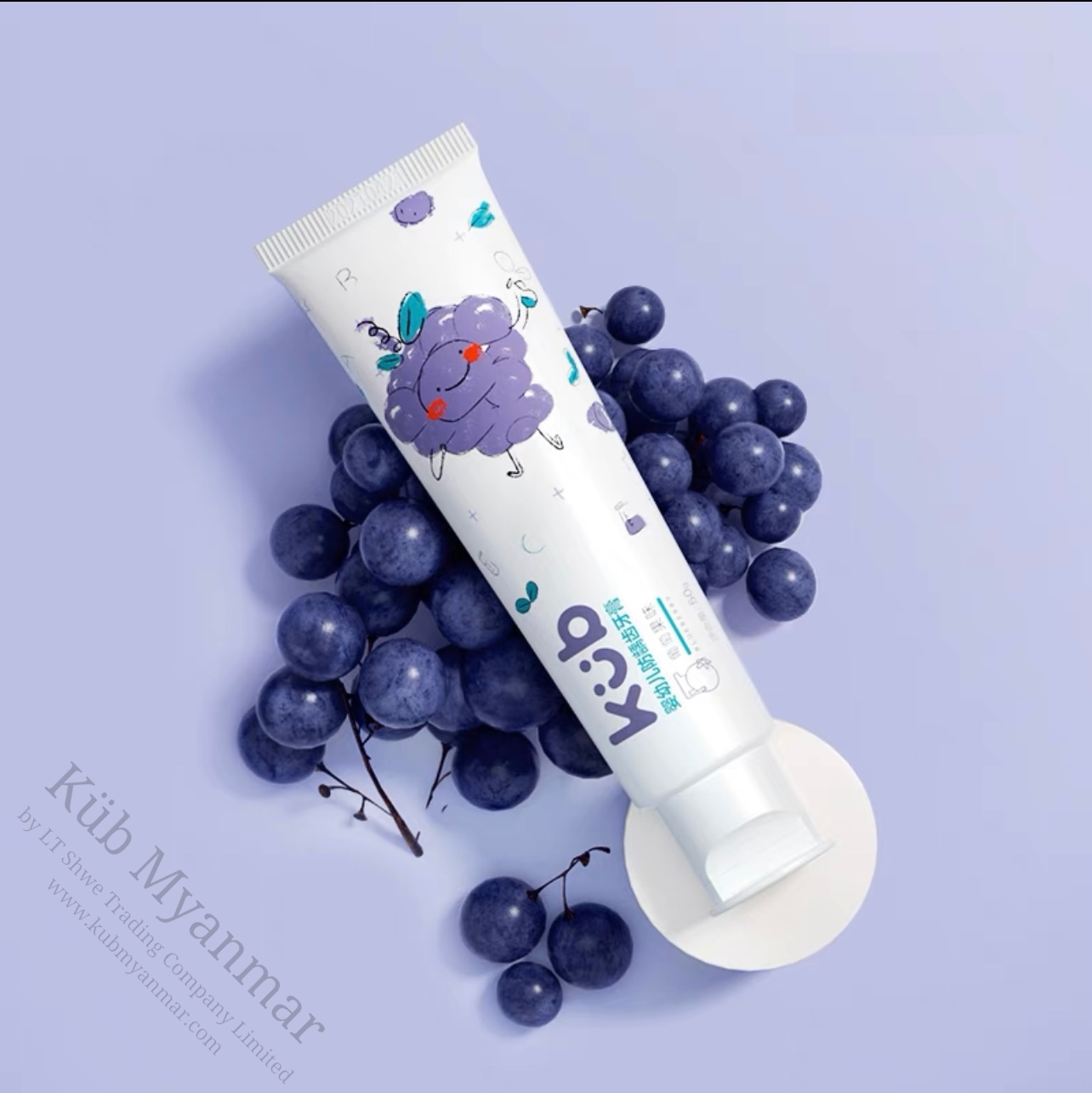 Kurr Toothpaste Anti-cavity Toothpaste (50g) – KUB Myanmar